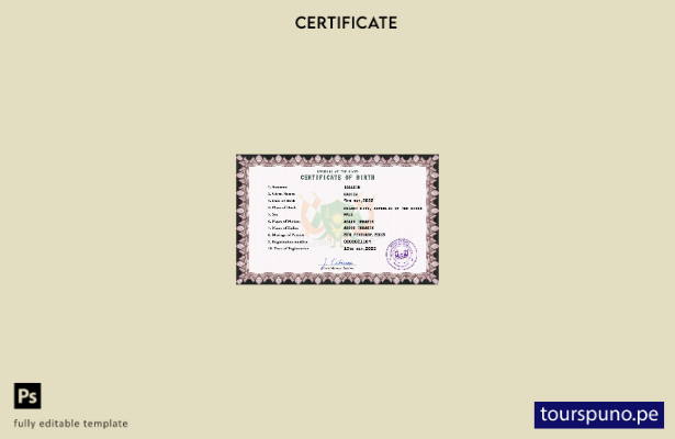 listo para imprimir plantilla PSD de certificado de nacimiento de registro ci 43